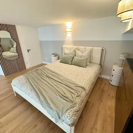 Beautiful Modern Loft In アパート グルノーブル